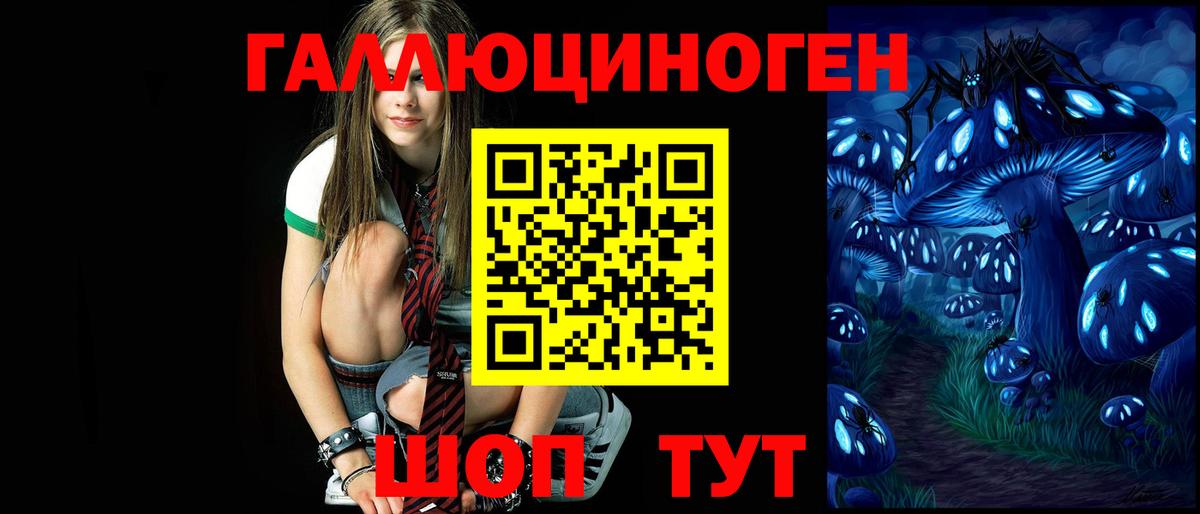 Псилоцибиновые грибы мухоморы  Псилоцибиновые грибы мицелий  Славгород  наркошоп  Вход с VPN 