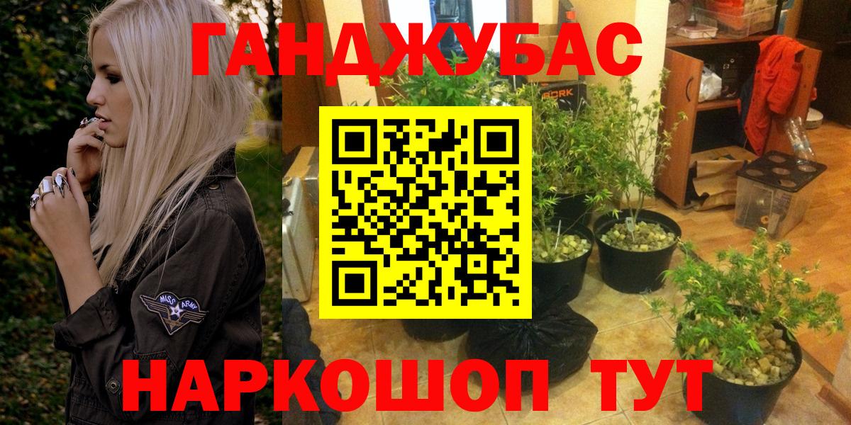 Канабис Bruce Banner  Каннабис семена  Шишки марихуана VHQ  Славгород  Вход с VPN 